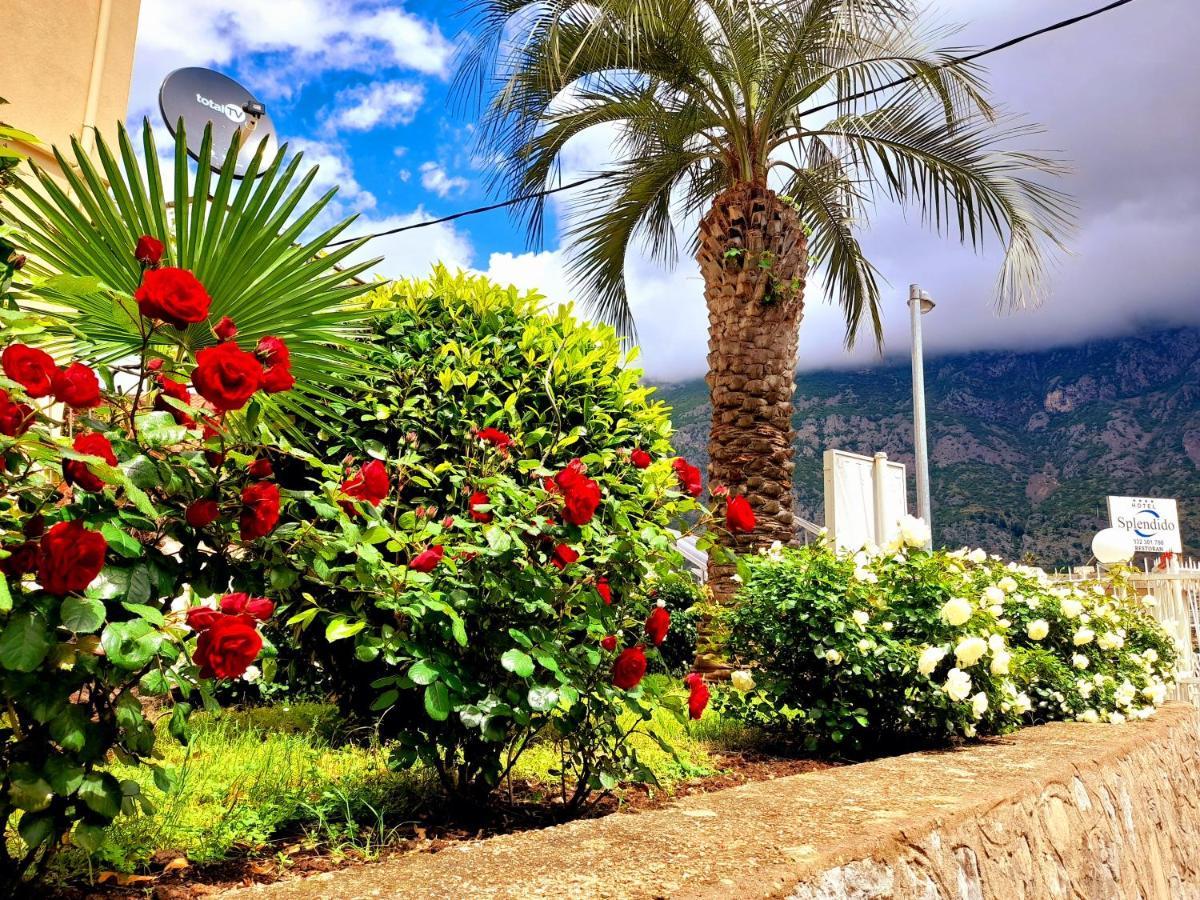 Hotel Bokeljski Dvori Kotor Buitenkant foto